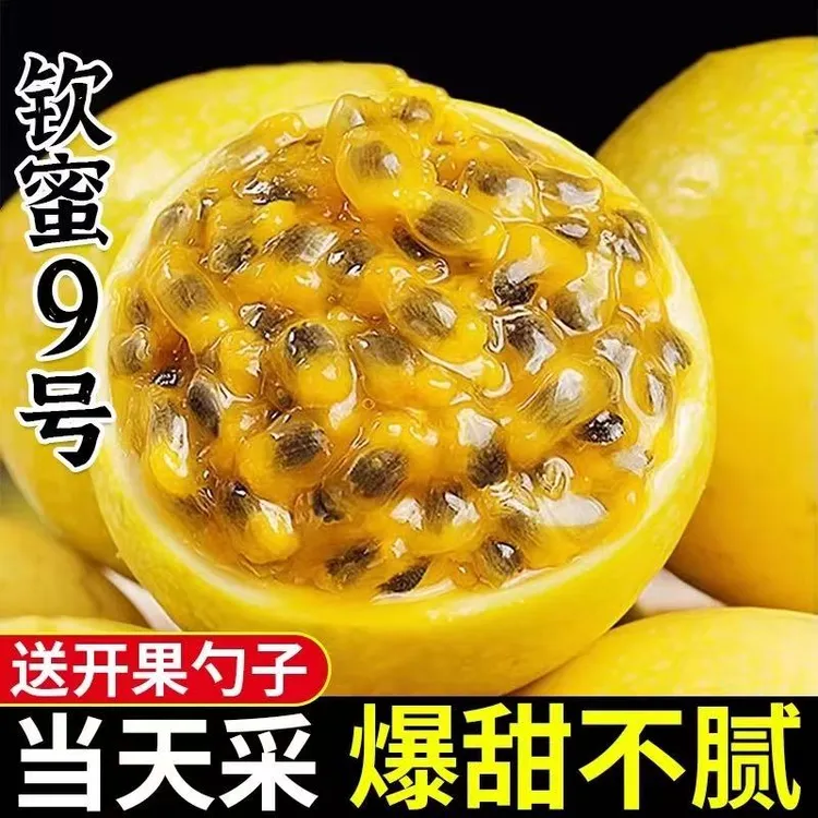 【海南直发】正宗海南钦蜜9号黄金百香果新鲜采摘孕妇水果现摘现发