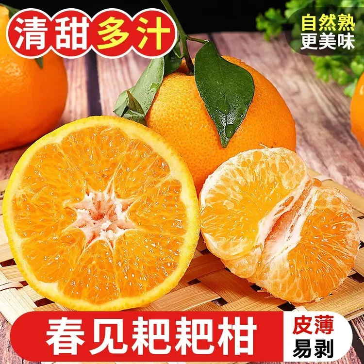 正宗四川耙耙柑水果香甜爆汁新鲜采摘现摘现发新鲜到家春见柑橘