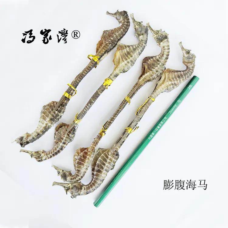海海马南正品保真公母搭配足干海龙马海干货适合煲汤泡酒做汤料