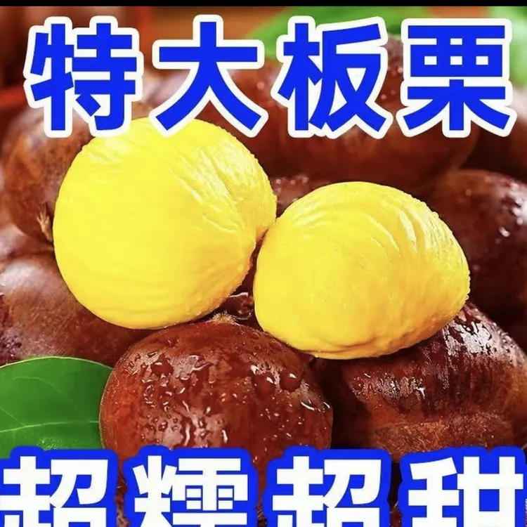 丹东高山老树板栗新鲜现摘好剥皮饱满香甜新货难剥皮