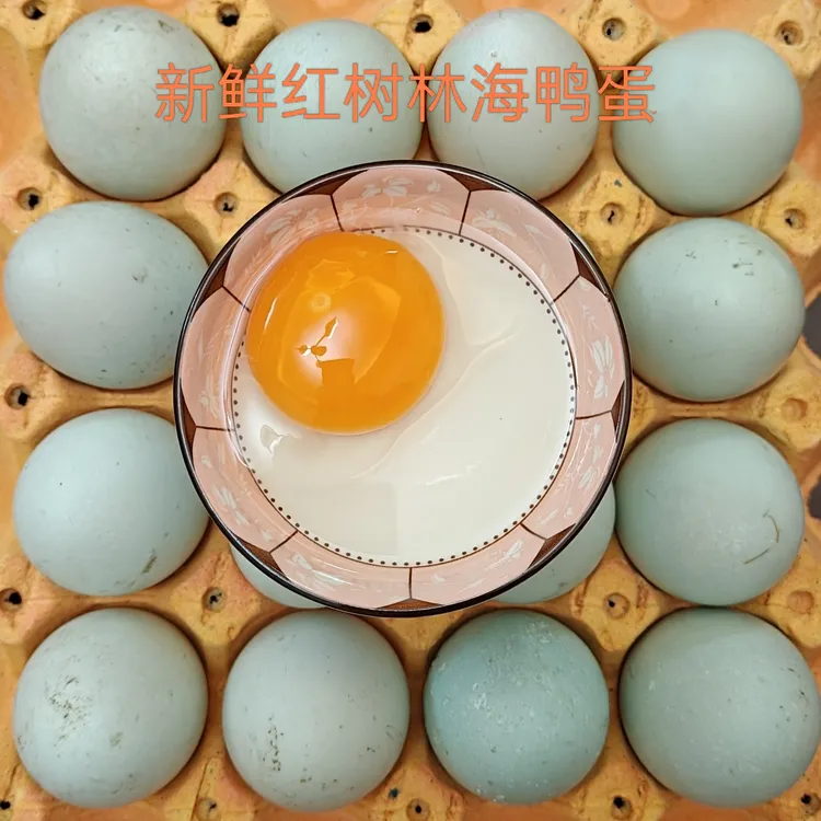 新鲜红树林海鸭蛋
