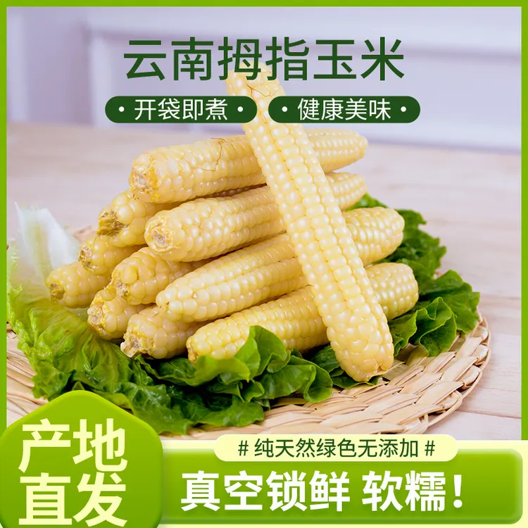 西双版纳拇指玉米精品特大A级果宝宝小玉米甜糯手指玉米非转基因