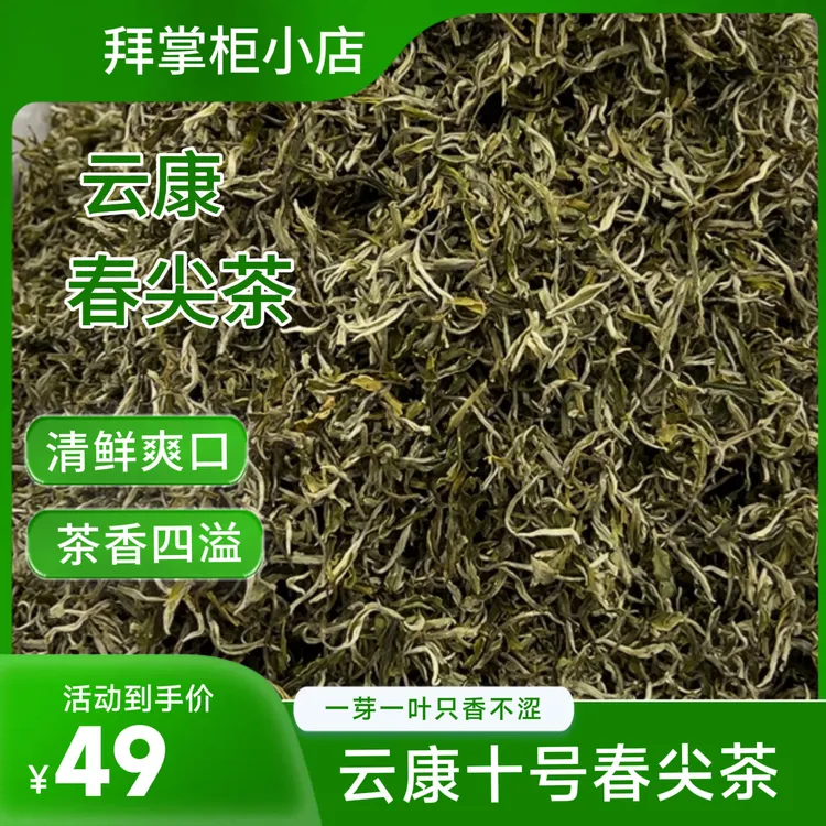 云南普洱云康十号春尖绿茶