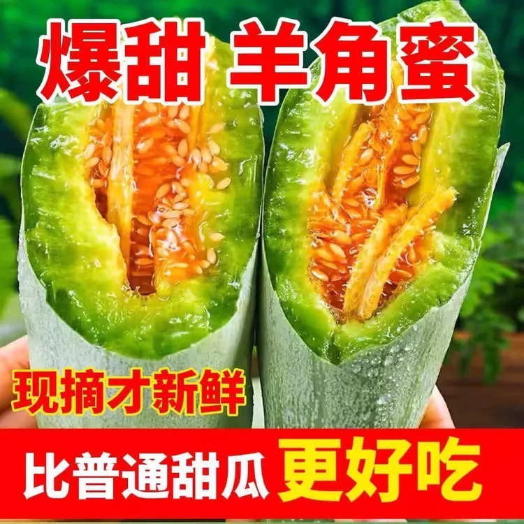 【豆芽专属】正宗山东羊角蜜甜瓜水果新鲜香瓜小蜜瓜应季正宗羊角脆蜜瓜清甜