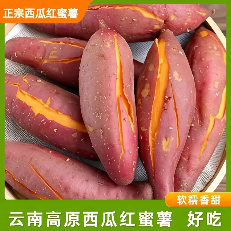 【有坏包赔】正宗云南高原蜜薯西瓜红红薯地瓜番薯红心农家自种红薯