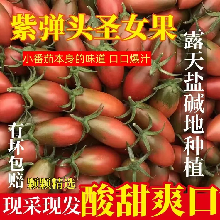 【京东】盐碱地紫弹头小番茄圣女果子弹头小西红柿新鲜现摘孕妇水果商品图