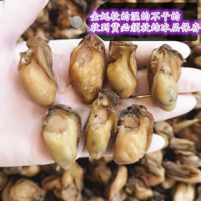 台山金蚝无抽油 （半干） 香煎闷煮 250克/500克