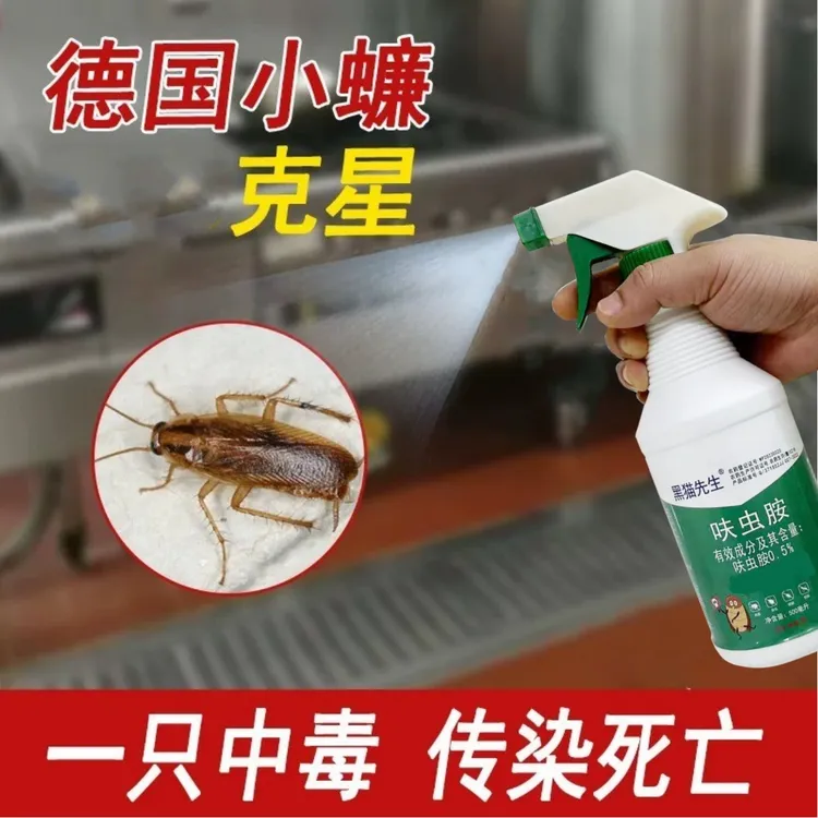 除灭德国小蠊蟑螂药杀虫剂全窝一窝室内端厨房宿舍强力除蟑神器