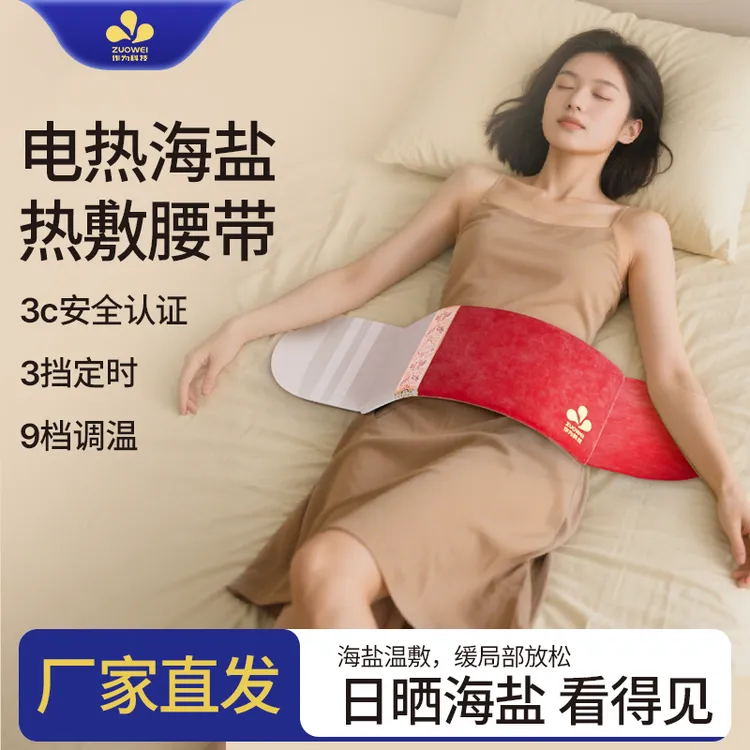 海盐包艾绒艾草理疗热敷袋电加热神器肩颈小肚子护腰带大颗粒粗盐