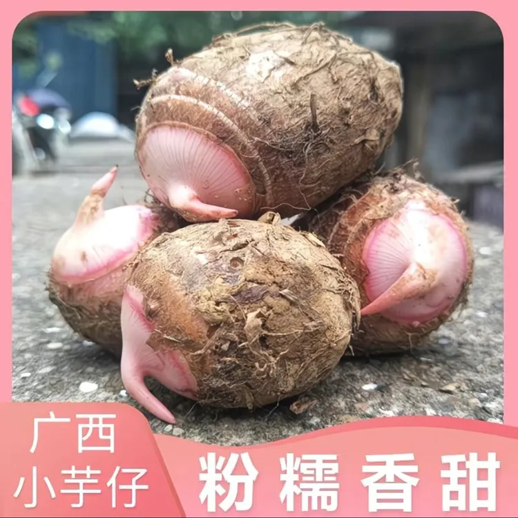 新鲜芋头仔新鲜现挖红芽芋艿软糯香甜小芋头毛芋头香芋