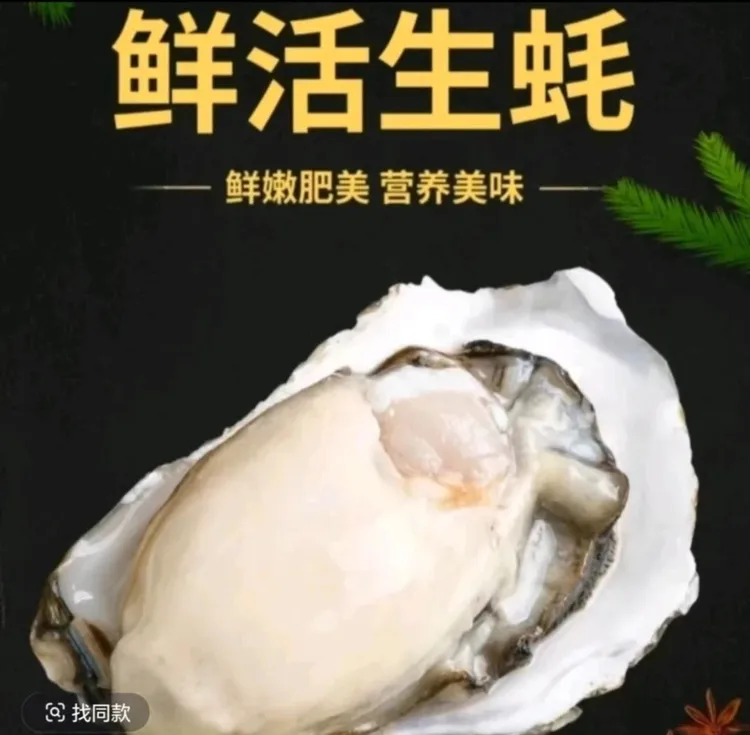 【只发新疆包邮】生蚝蚝王高品质拍5送1共2.5公斤