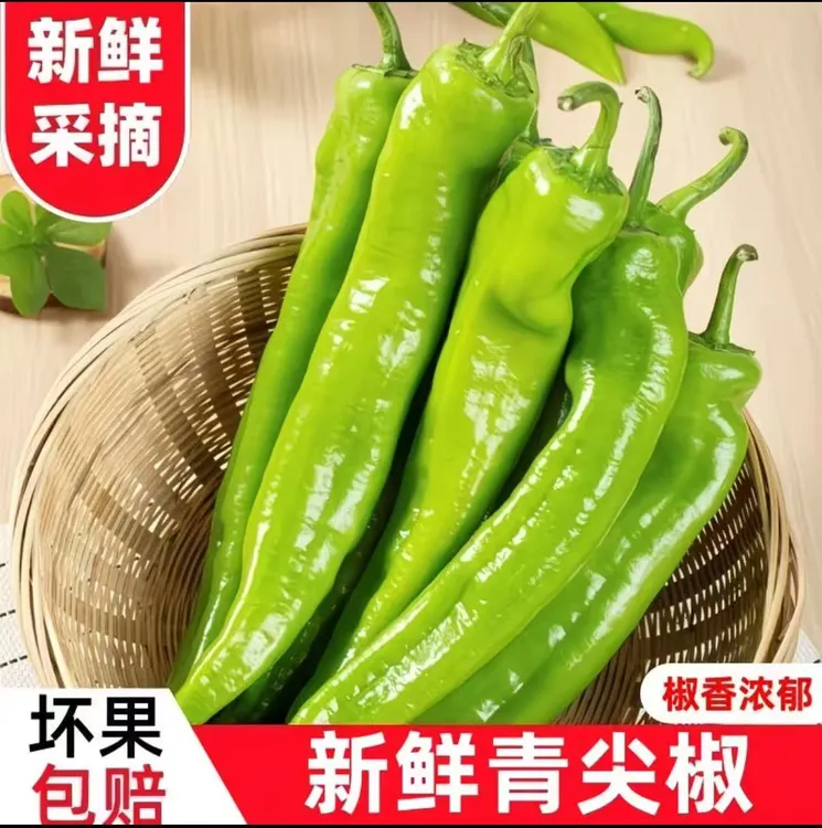 农家自家种植新鲜微辣尖椒椒饱满脆爽现摘蔬菜【京东包邮】