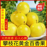 攀枝花黄金百香果香甜纯甜爆汁直接吃当季新鲜水果现摘现发