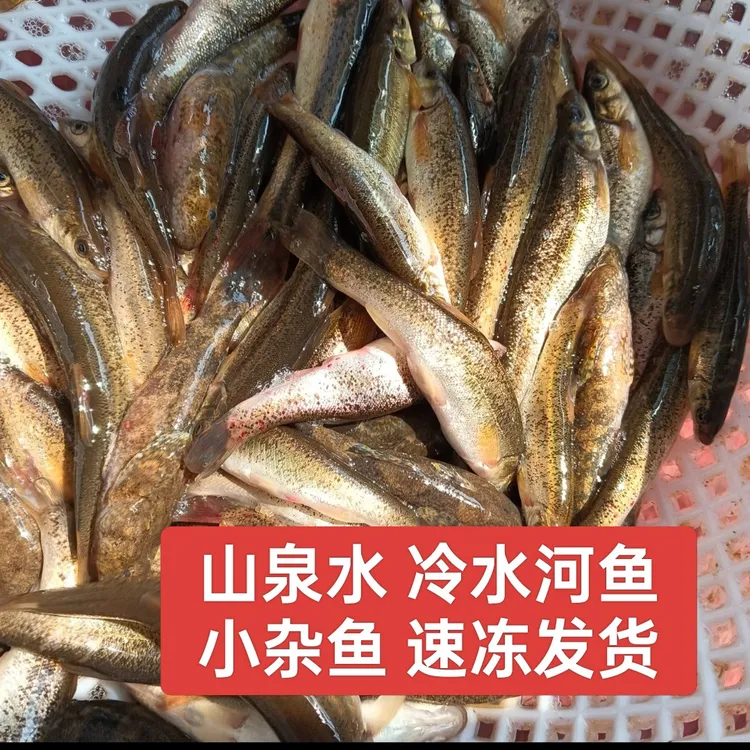 ［顺丰快递］东北新宾特产冷水河鱼，小杂鱼 送大酱