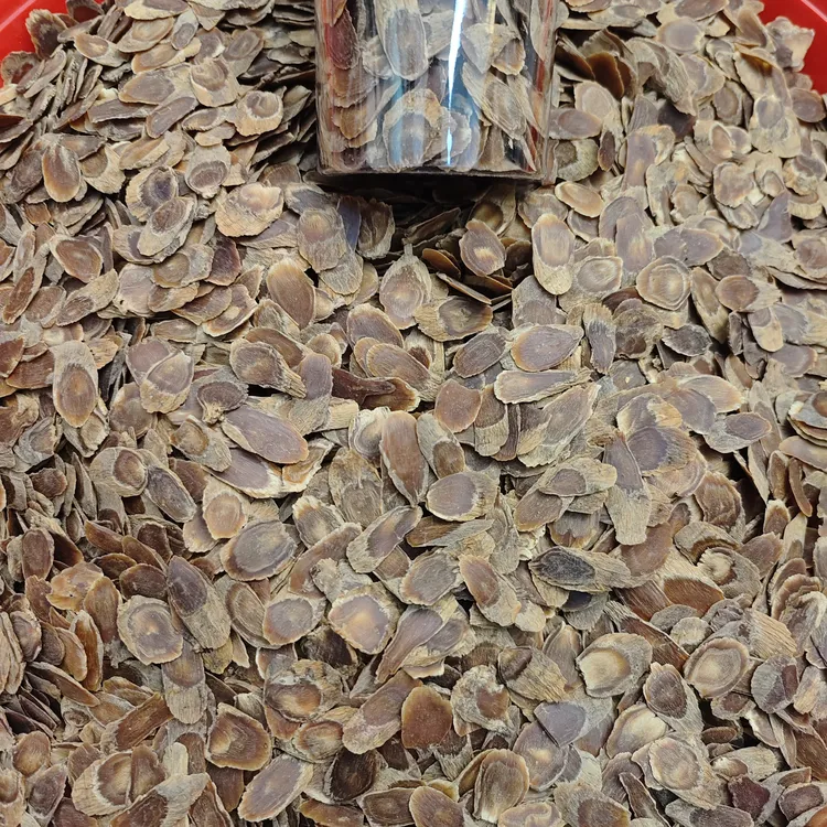 ［南韩高丽片］很香味道品质好色泽好煲汤泡水泡酒泡蜜非西洋参