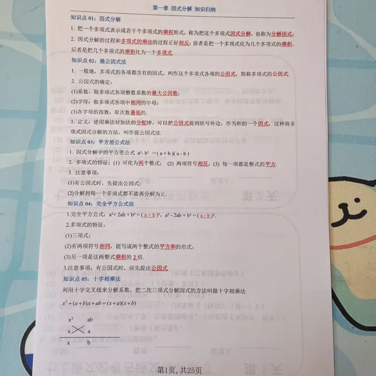 2025新八上数学湘教第1章 因式分解(知识归纳)加易错题归纳附解析