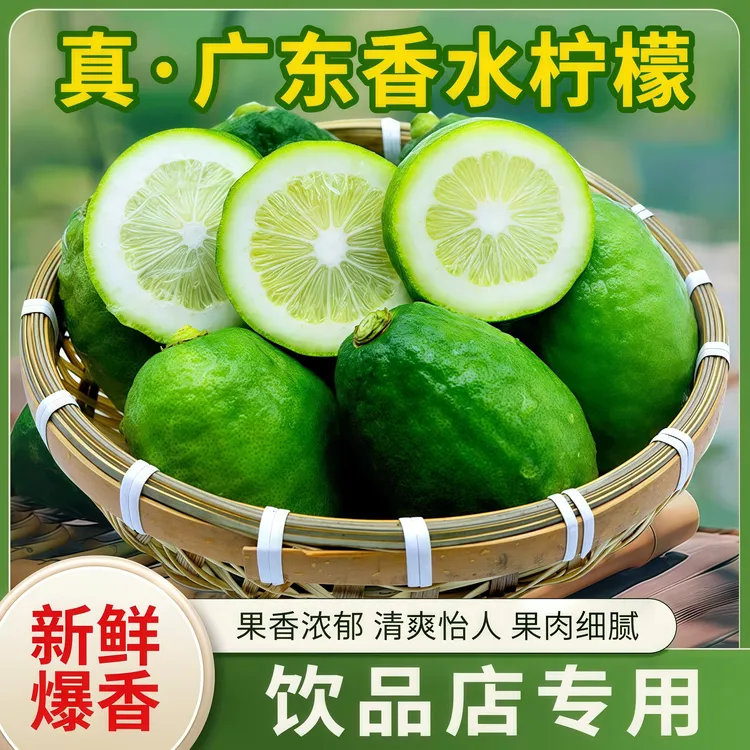 广东新鲜无籽香水柠檬现摘水果可泡水可用于手打柠檬奶茶