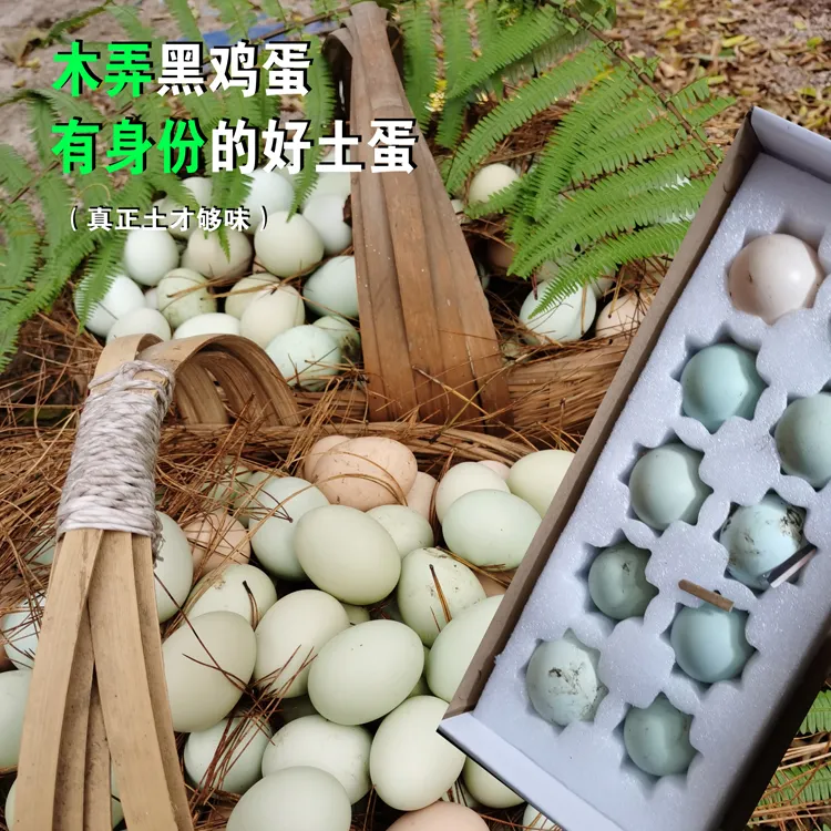贵州高山散养正宗土鸡蛋传统农家土鸡蛋现捡现发新鲜营养B型选装