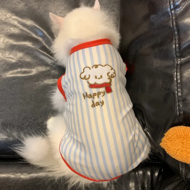 春秋款宠物猫咪衣服透气弹性无袖吊带背心式防脱不掉毛空调房可爱