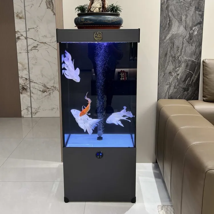客厅时尚落地款超白玻璃免换水智能生态自循环干湿分离鱼缸