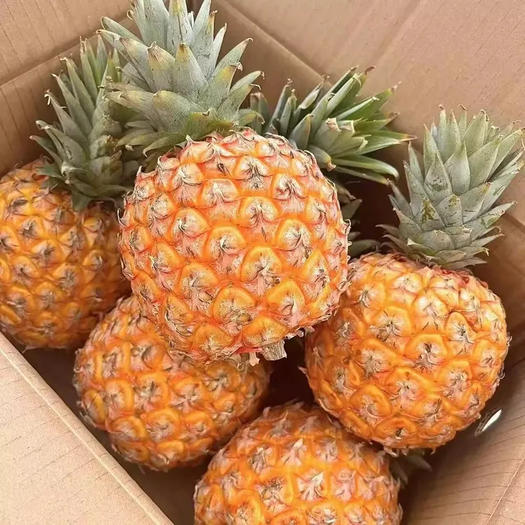 【芒果凤梨】海南台农23号芒果凤梨脆甜多汁新鲜菠萝凤梨大果特大