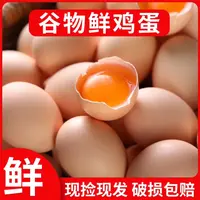 新鲜谷物蛋初生蛋谷物喂养天然健康柴鸡蛋笨鸡蛋50枚单枚40g左右