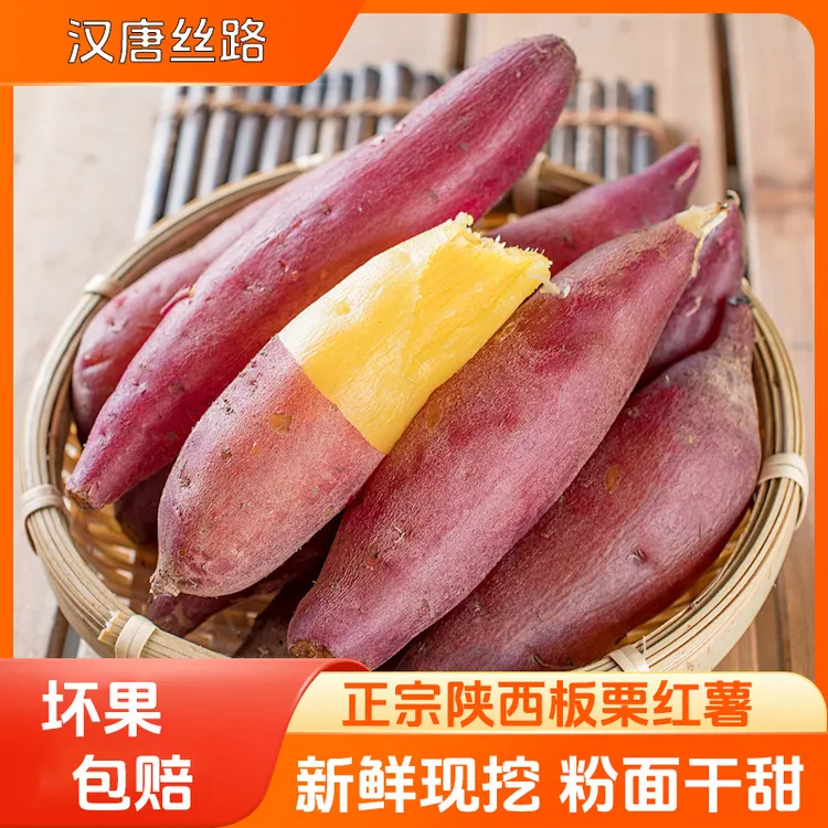 正宗陕西薄皮板栗红薯粉面香甜应季新鲜采挖番薯地瓜陕西板栗红薯