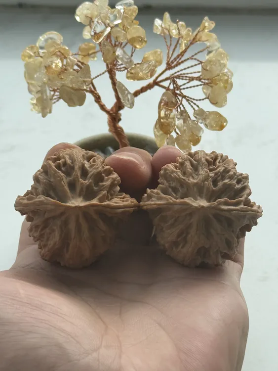 精品文玩核桃头货对全品毕业对苹果园狮子头手把件40.7尺