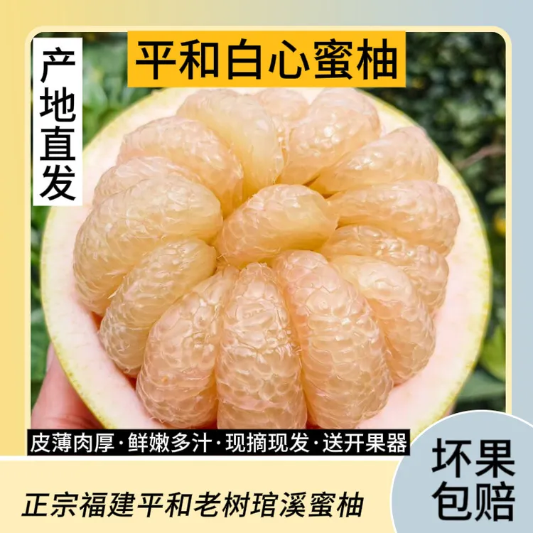 正宗福建平和白心蜜柚红柚新鲜皮薄蜜柚当季红肉柚子中秋
