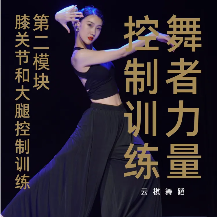 髋关节和大腿控制训练专项课程控腿专项课程进阶力量控制训练
