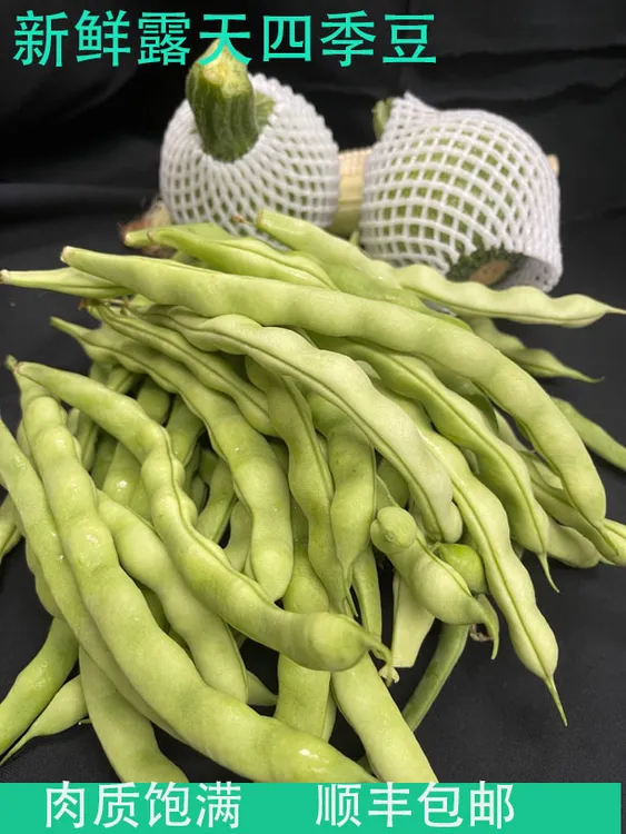 【顺丰包邮】贵州省汤露天嫩四季豆小南瓜新鲜玉米现摘保鲜整箱