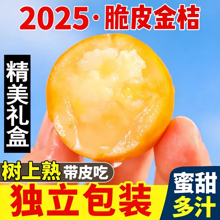 【独立包装】广西融安脆皮金桔小糖豆礼盒纯甜当季新鲜孕妇水果