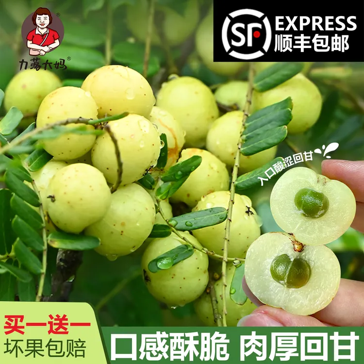 【顺丰包邮】潮汕大妈油甘果新鲜崩坎油柑孕妇水果榨汁滇橄榄果