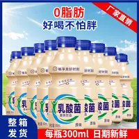 【乳酸菌风味】益生菌酸奶300ml*9瓶酸奶整箱新日期饮料早餐厂家