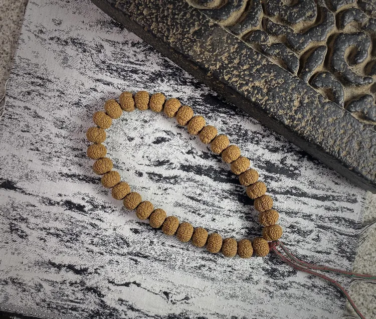 梅花龙鳞王毒药小金刚高山铁籽四瓣纹路清晰深沟梅花龙鳞纹小金刚