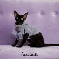 fuzzbutt宠物猫咪狗狗高领流苏手编保暖羊毛衣 摩登 非七天无理由