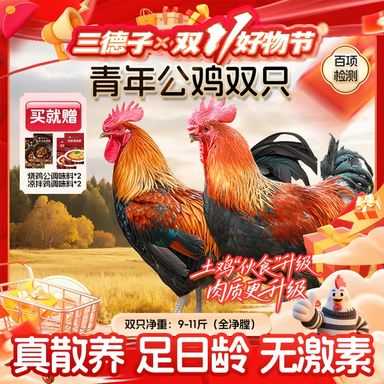 三德子【青年公鸡】山地散养200天左右跑山鸡土鸡红烧公鸡炖汤