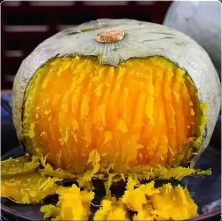 【银栗南瓜种子】家庭阳台小院盆栽地栽四季种植