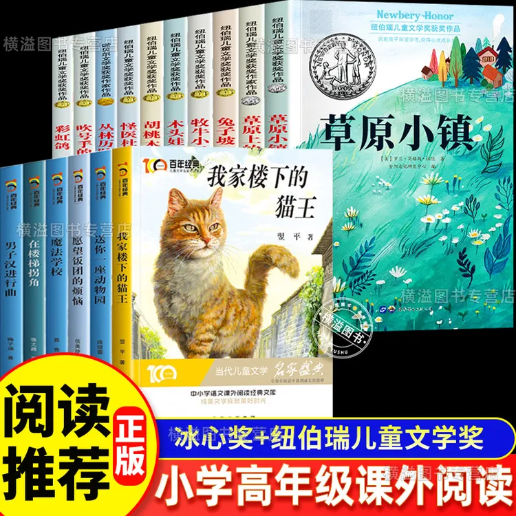 小学生课外阅读三四五六年级纽伯瑞奖冰心奖儿童文学9-12岁阅读书