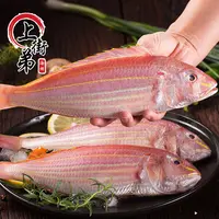 新鲜金线鱼 海鲜水产海钓 海鱼金线鱼冷冻鲜活红三鱼鲜活金丝鱼