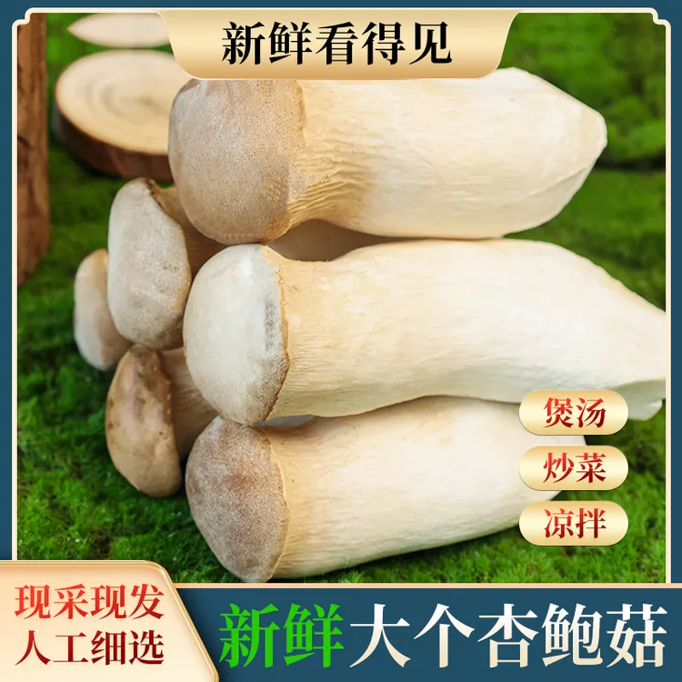【2斤鲜菇】新鲜杏鲍菇鸡腿菇炒牛肉焯水拌凉菜新鲜食用菌菇大蘑菇