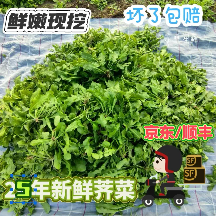 【京东】新鲜荠菜漏天生长新鲜现挖荠菜地菜地丁混饺子馅野菜煮火锅