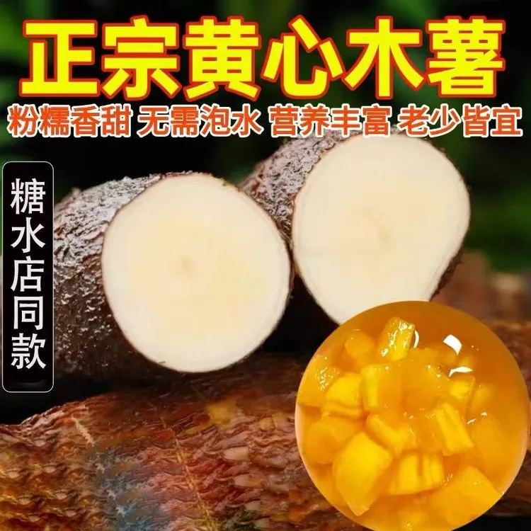 黄心木薯新鲜现挖广西特产农家当季黄肉面包木薯板栗红薯糖水店