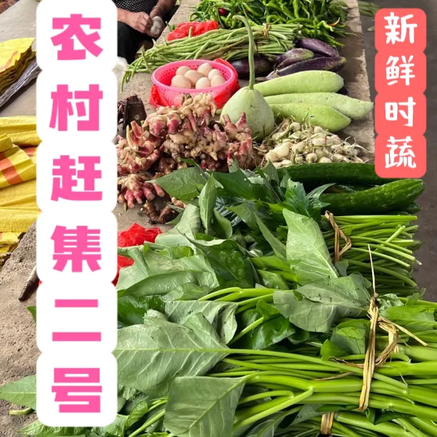 江西赣南乡下农村应季新鲜搭配蔬菜农家菜