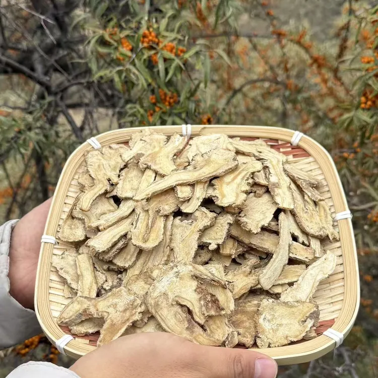 甘肃岷县原产地精选无熏硫当归头切片当归产地直销正宗岷县当归