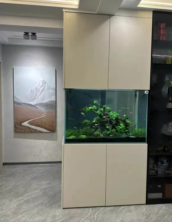 定制嵌入式鱼缸客厅墙体屏风缸柜体超白玻璃鱼缸底滤侧滤上滤一体