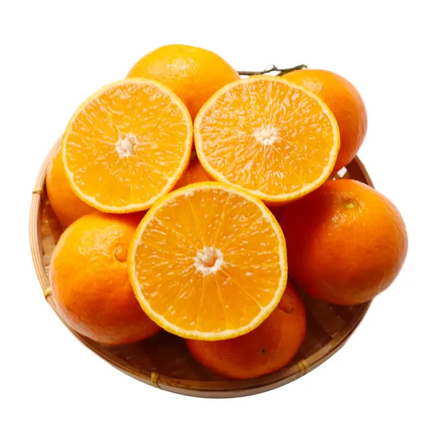 四川爱媛果冻橙 天然果冻 入口化渣