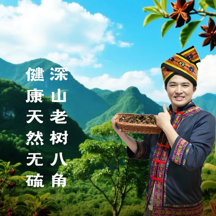 广西大红八角足干无硫炒菜火锅卤肉用香料八角广西特产大料调味料