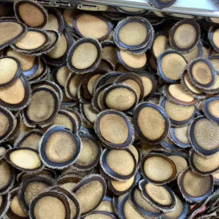 梅鹿半蜡片足干煲汤熬粥泡水