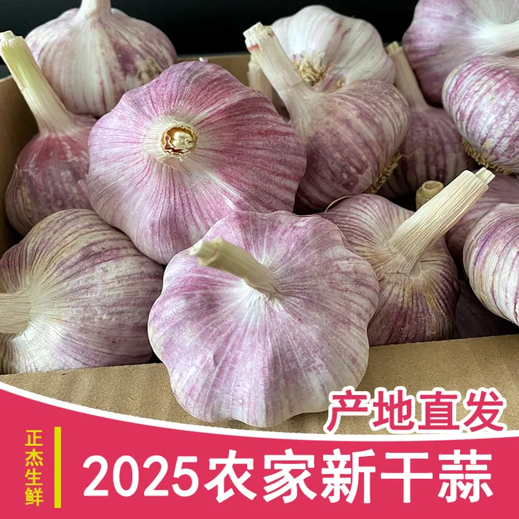 【源头产地】5斤2025新干蒜农家自种河南蒜紫白皮大蒜头1斤3斤9斤